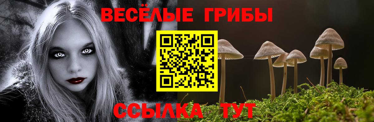 Галлюциногенные грибы ЛСД  Псилоцибиновые грибы Psilocybine cubensis  Вход с VPN  Сафоново 