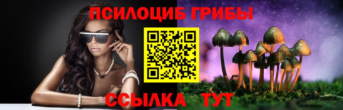 Галлюциногенные грибы Psilocybe Сафоново
